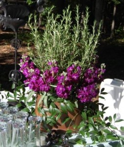 purple dendrobiums accented with rosemary stalks