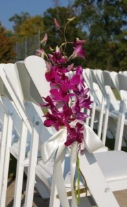 purple dendrobium pew marker