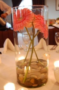 river rocks anchor gerberas in a tall cylinder