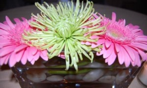 spider mum and gerberas in a low vase