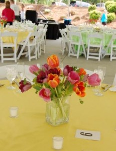 table arrangement of assorted tulips