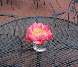 small arrangement of a single peony