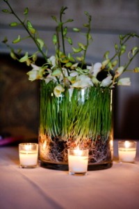 whimsical arrangement of wheat grass and dendrobiums