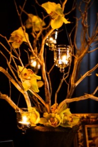 manzanita branches with orchids and hanging votives